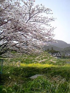 e0016828_1054099.jpg