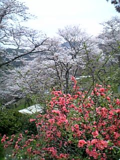 e0016828_1071724.jpg