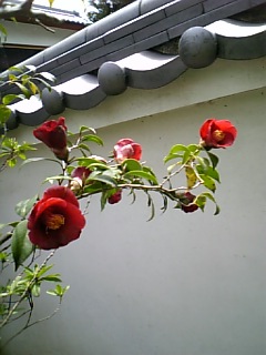 e0016828_95834100.jpg
