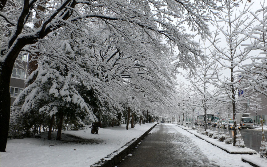 a0046429_126899.jpg