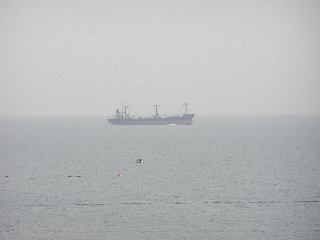 b0016836_23242231.jpg