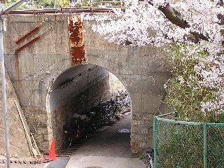 b0016836_23243698.jpg