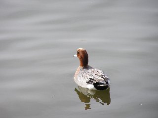 b0016836_23375977.jpg