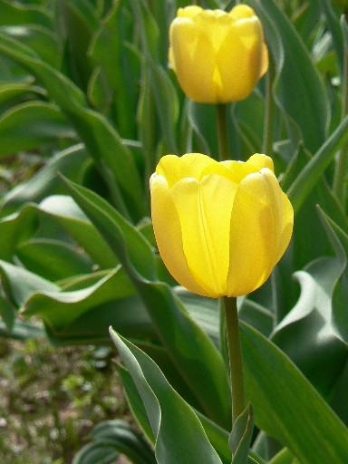 e0083238_2215377.jpg