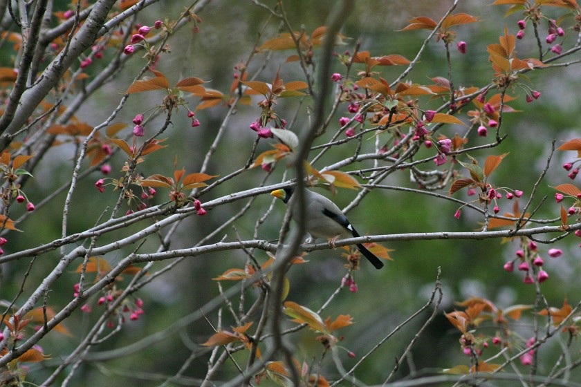c0075539_1921723.jpg