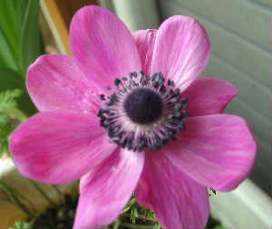 f0073239_20562419.jpg