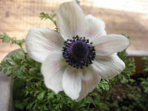 f0073239_20592079.jpg
