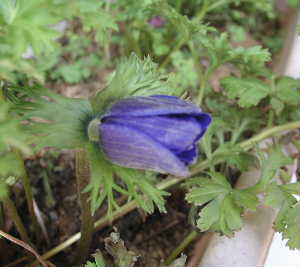 f0073239_21013100.jpg