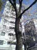 e0093140_1222588.jpg