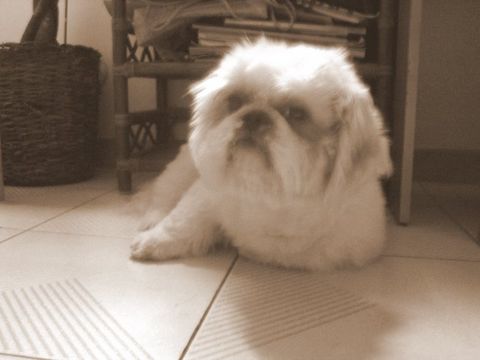e0018143_110073.jpg