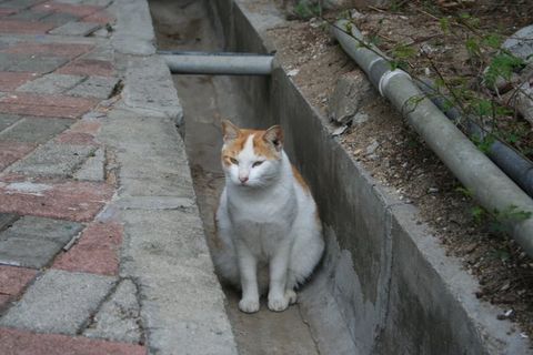e0018143_2235558.jpg