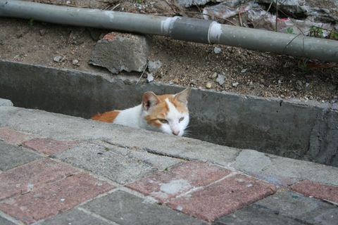e0018143_223588.jpg
