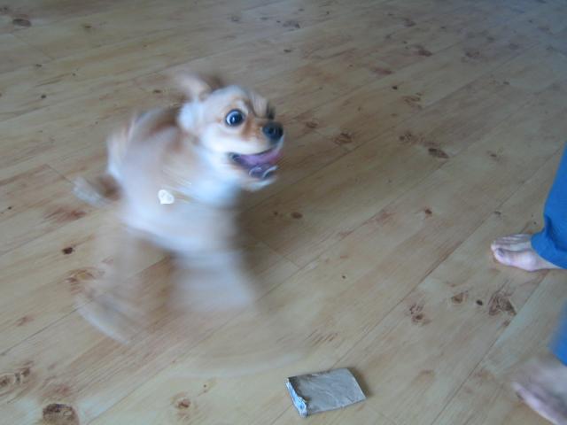 c0026846_1523526.jpg