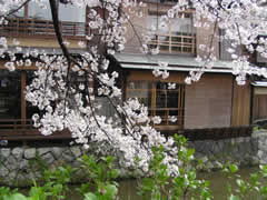 b0054956_21592481.jpg