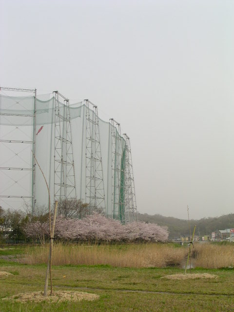 f0074659_2155595.jpg