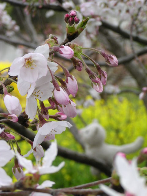 f0074659_21561775.jpg