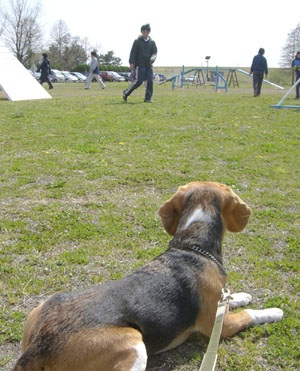 e0007060_22304877.jpg