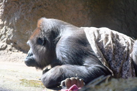 e0086860_0554359.jpg