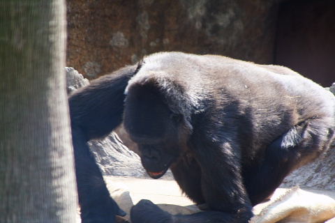 e0086860_055573.jpg