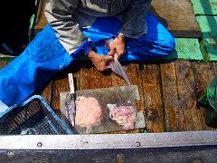 f0098360_125341.jpg