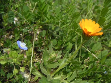 c0032863_22335043.jpg