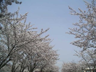 c0032863_22531439.jpg