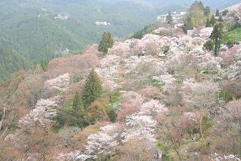 f0035963_22574897.jpg