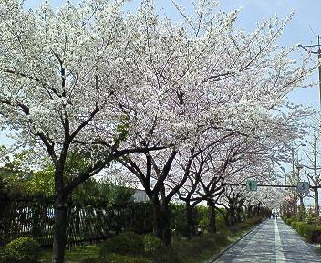 f0063666_21234100.jpg