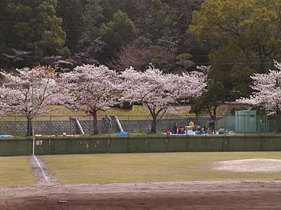 b0048571_15413261.jpg