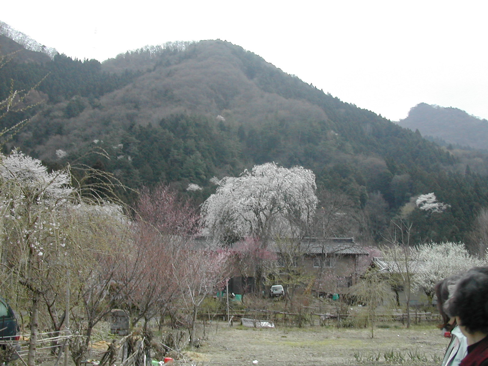 b0032079_117266.jpg