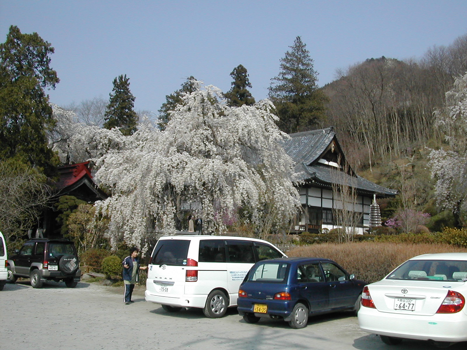 b0032079_1222725.jpg