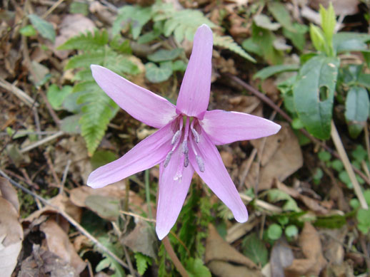 a0004180_2141780.jpg