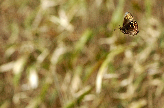 f0090680_23421313.jpg