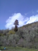 f0098680_2046235.jpg