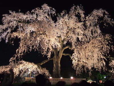 f0004182_23223521.jpg