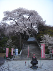 e0033384_123418.jpg
