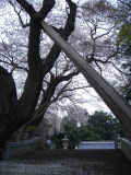 e0033384_1272998.jpg