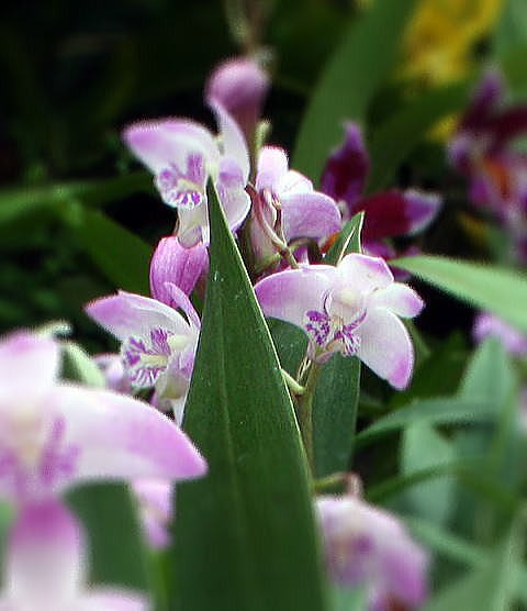 e0081184_18644.jpg