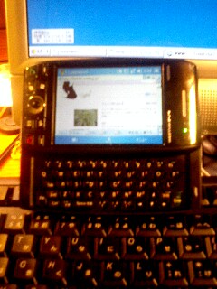 b0029688_047127.jpg