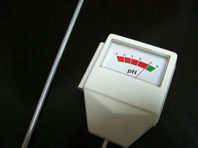 f0070493_205438.jpg