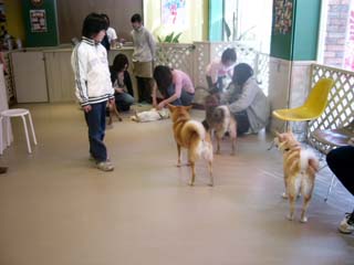 f0077097_19141237.jpg