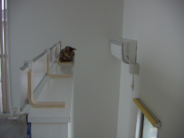 c0011300_2383512.jpg