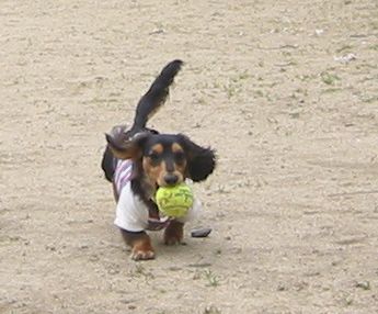 b0044804_16595065.jpg