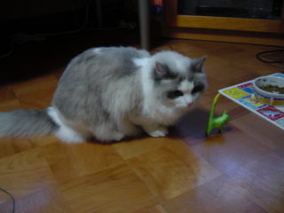 c0024410_23162616.jpg