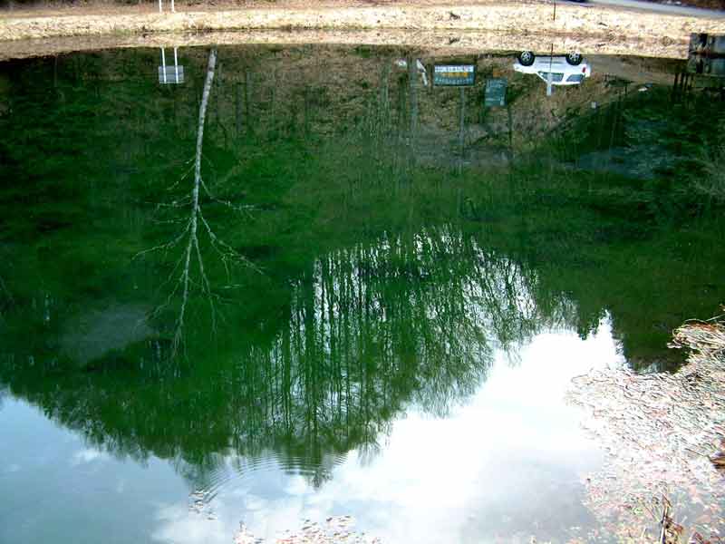 e0001110_2352532.jpg