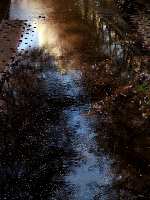 c0071611_962312.jpg
