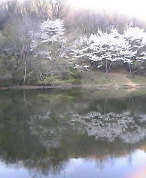 a0049715_22473776.jpg