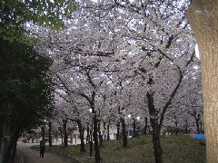 c0000816_23404238.jpg