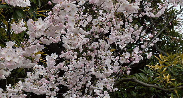 c0051718_0281868.jpg