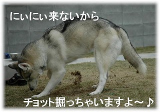 a0047325_0553672.jpg